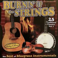 Bluegrass - Sound Traditions - Burnin Up The Strings